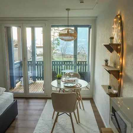 Surfers Near Interlaken, At With Pool Apartment *