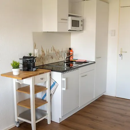 Daire Surfers Near Interlaken, At With Pool