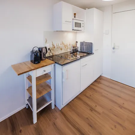 Surfers Near Interlaken, At With Pool Apartment Därligen